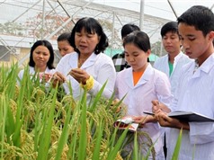 6 nhà khoa học nữ Việt Nam được UNESCO vinh danh