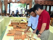 Sắp diễn ra hội thảo quốc tế gốm cổ Bình Định