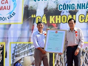 Cà Mau: Cá khoai Cái Đôi Vàm được công nhận Nhãn hiệu tập thể