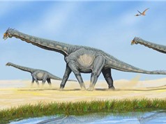 Thiếu phân khủng long khiến Trái Đất kém màu mỡ nghiêm trọng
