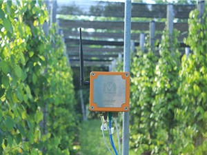 Công ty TNHH Mimosa Technology (MimosaTEK) - đơn vị ứng dụng IoT trong nông nghiệp