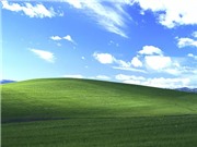 Câu chuyện đằng sau tấm hình nền huyền thoại của Window XP