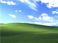 Câu chuyện đằng sau tấm hình nền huyền thoại của Window XP