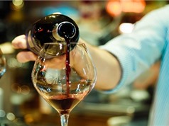 Thói quen uống rượu làm gia tăng nguy cơ 7 loại ung thư phổ biến