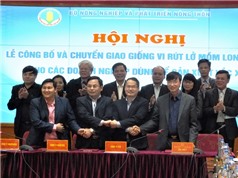Lần đầu tiên Việt Nam chủ động công nghệ sản xuất vắcxin lở mồm long móng