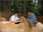 Mộ thân cây táng trong hang đầu tiên ở Việt Bắc: Những câu hỏi lớn chờ lời đáp