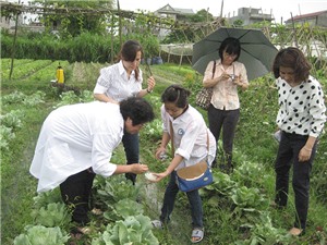 Phát huy hơn nữa hiệu quả của chương trình nông thôn miền núi