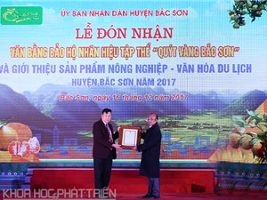 Quýt vàng Bắc Sơn được công nhận Nhãn hiệu tập thể