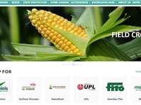 BigHaat, giải pháp thương mại điện tử cho nông dân Ấn Độ
