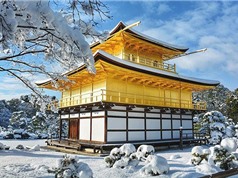 7 địa điểm đón mùa Đông hấp dẫn nhất Nhật Bản 