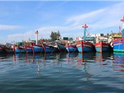 Thanh Hóa: Xây dựng dịch vụ hậu cần cho nghề khai thác hải sản xa bờ
