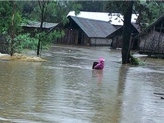  Đắk Lắk: Ứng dụng bộ công cụ dự báo lũ và cảnh báo ngập lụt