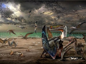 Phát hiện hơn 200 hóa thạch trứng thằn lằn bay ở Trung Quốc