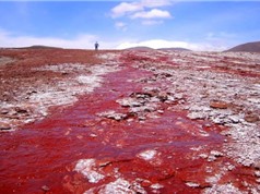 Giải mã bí ẩn hồ nước có màu đỏ như máu ở Chile