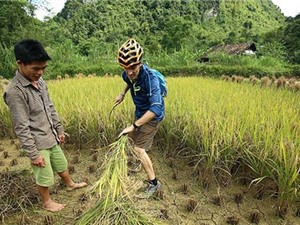  Hậu Giang: Xây dựng mô hình luân canh bền vững trên đất phèn