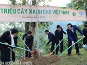 Triển khai Quỹ 1 triệu cây xanh tại Cao Bằng