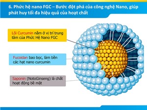 Phức hệ nano FGC - bước đột phá của công nghệ nano