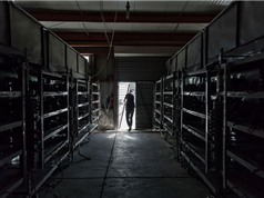 Dân đào bitcoin tháo chạy khỏi Trung Quốc