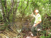 Kon Tum thả 27 cá thể động vật hoang dã về môi trường tự nhiên