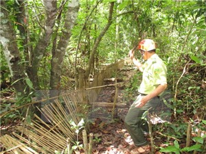 Kon Tum thả 27 cá thể động vật hoang dã về môi trường tự nhiên