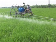 Sau robot gieo hạt, Phạm Văn Hát sáng chế máy phun thuốc trừ sâu