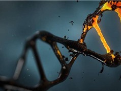 Tái tạo thành công gene của người đã chết 200 năm