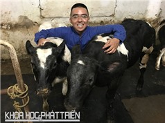 Việt Nam chủ động sản xuất bò BBB 