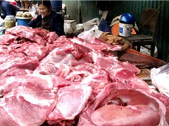 Gần 70% mẫu thịt tại TP HCM nhiễm vi khuẩn gây viêm dạ dày