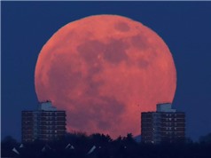 Những hình ảnh độc đáo trên toàn thế giới khi xuất hiện siêu trăng, trăng xanh, trăng máu