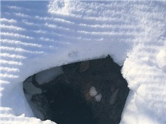 Mỹ: Thấy hố tuyết kỳ lạ, phát hiện điều thú vị bên trong