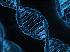 Các nhà khoa học Italy đạt bước tiến lớn trong công nghệ chỉnh gen