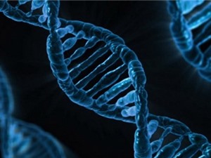 Các nhà khoa học Italy đạt bước tiến lớn trong công nghệ chỉnh gen