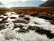 Bắc Cực tích trữ lượng thủy ngân lớn nhất thế giới