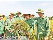 Chủ tịch HĐQT ThaiBinh Seed Trần Mạnh Báo: Vị doanh nhân mê tạo giống lúa