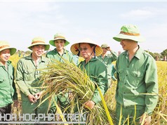 Chủ tịch HĐQT ThaiBinh Seed Trần Mạnh Báo: Vị doanh nhân mê tạo giống lúa