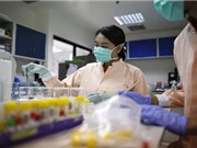 Các nhà khoa học Indonesia bị "bó tay" do trễ kinh phí tài trợ