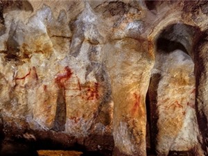 Người Neanderthal vẽ tranh hang động từ cách đây 64 nghìn năm