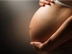 Mối liên quan giữa sức khỏe thai phụ với sự phát triển não bộ thai nhi