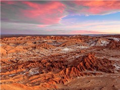 Phát hiện sự sống trên sa mạc có điều kiện tương tự trên Sao Hỏa