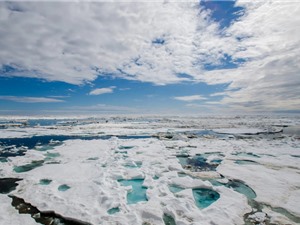 Bắc Cực ấm hơn châu Âu một cách bất thường