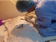 Hơn 200 người xin hiến tạng sau ca hiến giác mạc của bé Hải An