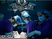Ghép tạng nhân thêm sự sống: Kỹ thuật đã làm chủ, vẫn còn vướng chính sách
