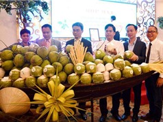 Bến Tre dùng công nghệ để nâng cao giá trị cây dừa 