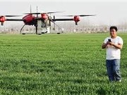 Dùng thiết bị bay không người lái để thụ phấn cho cây trồng