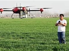 Dùng thiết bị bay không người lái để thụ phấn cho cây trồng