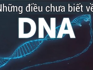 Những điều bạn chưa biết về DNA của con người
