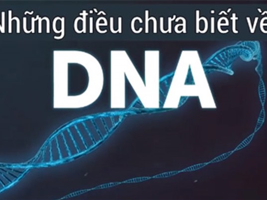 Những điều bạn chưa biết về DNA của con người
