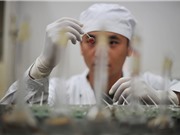 Trung Quốc sắp có “siêu Bộ Khoa học”