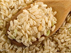 Cách mạng lúa gạo hữu cơ ở Ấn Độ làm lu mờ nông nghiệp biến đổi gene