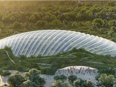 Pháp sắp xây nhà kính có mái vòm lớn nhất thế giới